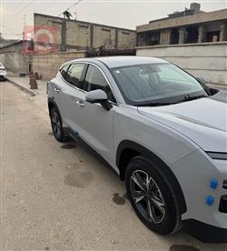 جيتور داشينج